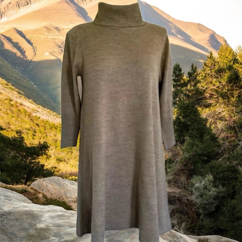 Free | Beige Sweater Tunic